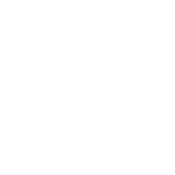 BORA-Logo BORA Logo