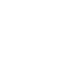 Brokis Leuchten Logo