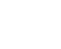 FIAM LOGO