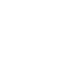 Frost Logo