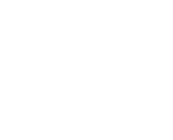 MDF Italia LOGO