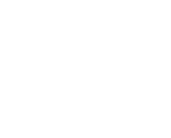 SOVET LOGO