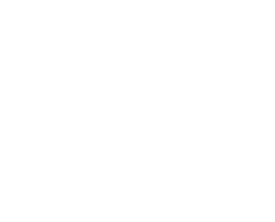 Venini
