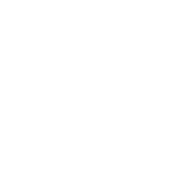 Venini Logo